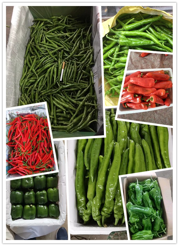 rb88随行版-rb88手机随行版登录入口