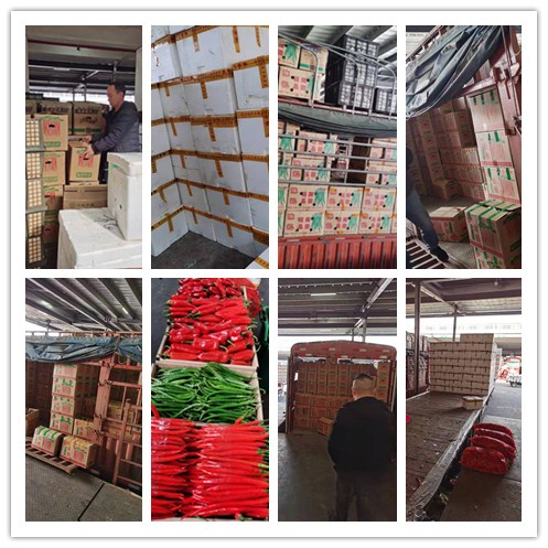 rb88随行版-rb88手机随行版登录入口