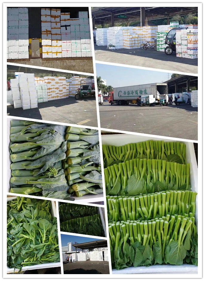 rb88随行版-rb88手机随行版登录入口