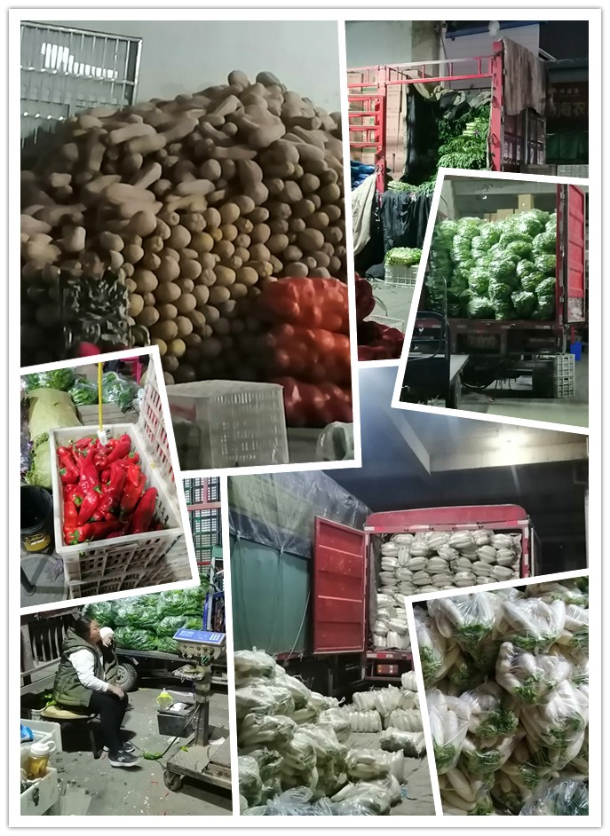 rb88随行版-rb88手机随行版登录入口