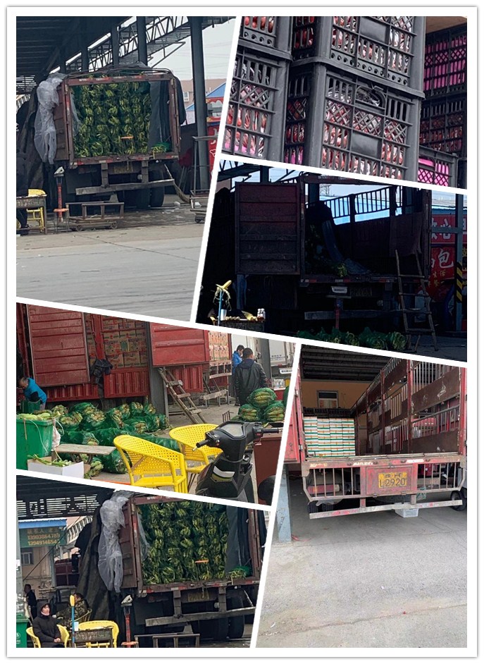 rb88随行版-rb88手机随行版登录入口