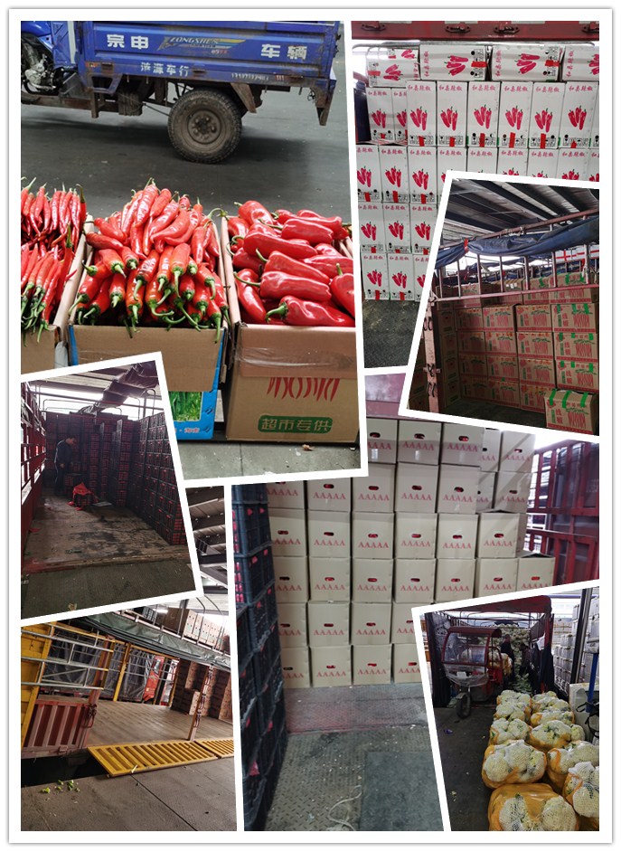 rb88随行版-rb88手机随行版登录入口