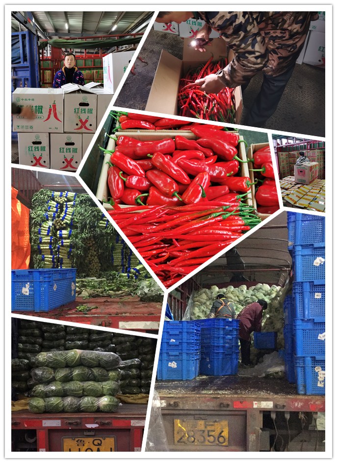 rb88随行版-rb88手机随行版登录入口