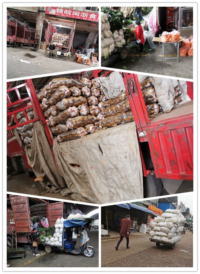 rb88随行版-rb88手机随行版登录入口