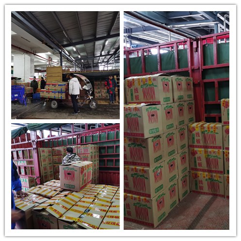 rb88随行版-rb88手机随行版登录入口