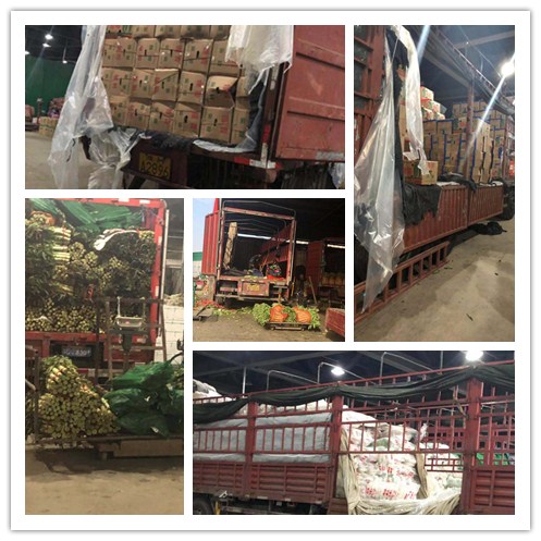 rb88随行版-rb88手机随行版登录入口