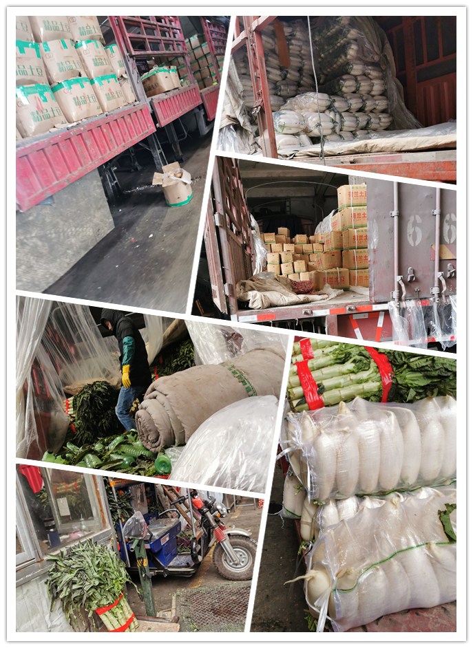 rb88随行版-rb88手机随行版登录入口