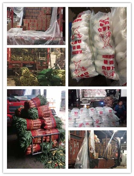 rb88随行版-rb88手机随行版登录入口