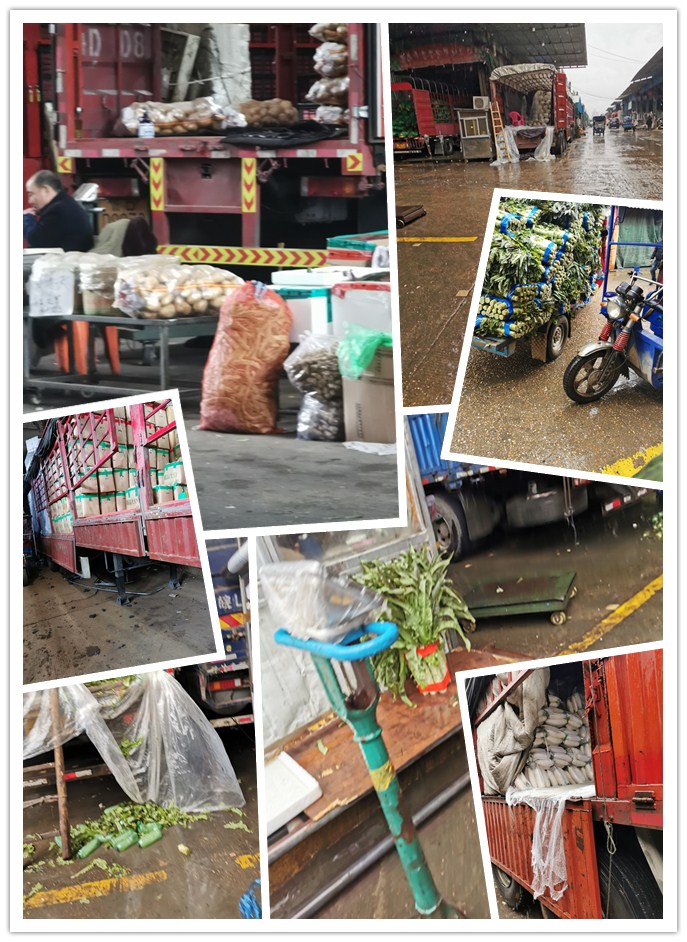 rb88随行版-rb88手机随行版登录入口