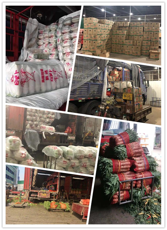 rb88随行版-rb88手机随行版登录入口