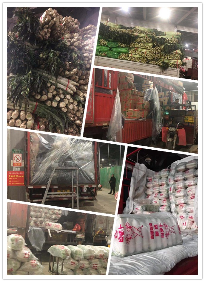 rb88随行版-rb88手机随行版登录入口