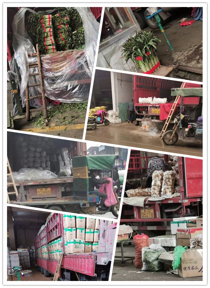 rb88随行版-rb88手机随行版登录入口