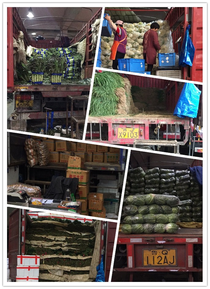 rb88随行版-rb88手机随行版登录入口