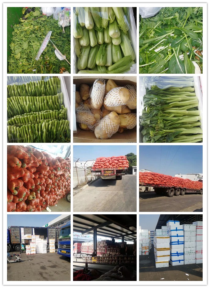 rb88随行版-rb88手机随行版登录入口