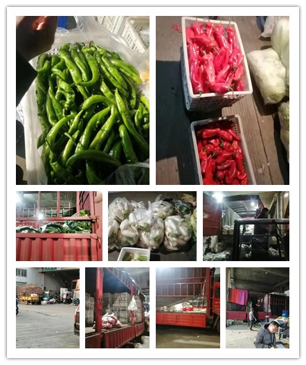 rb88随行版-rb88手机随行版登录入口