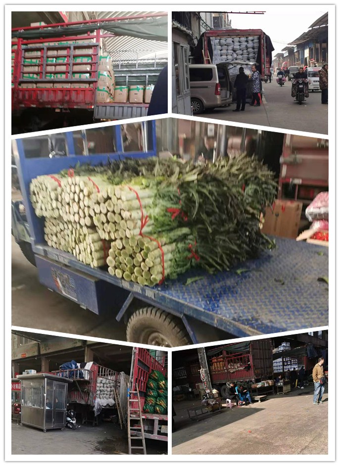 rb88随行版-rb88手机随行版登录入口