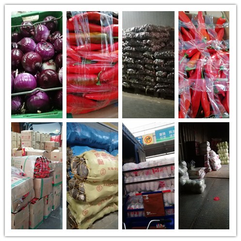 rb88随行版-rb88手机随行版登录入口