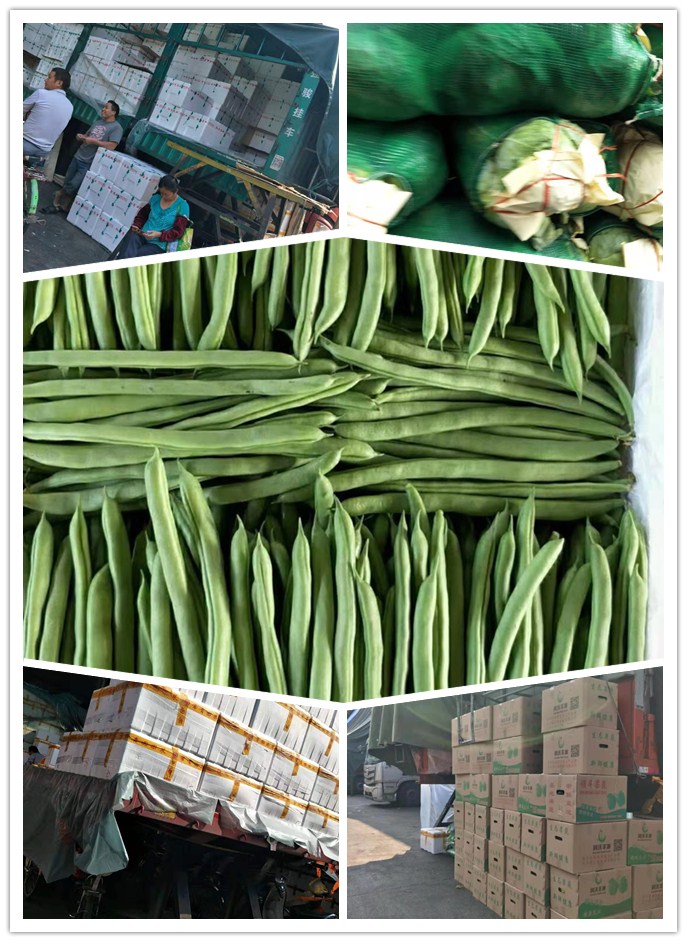 rb88随行版-rb88手机随行版登录入口