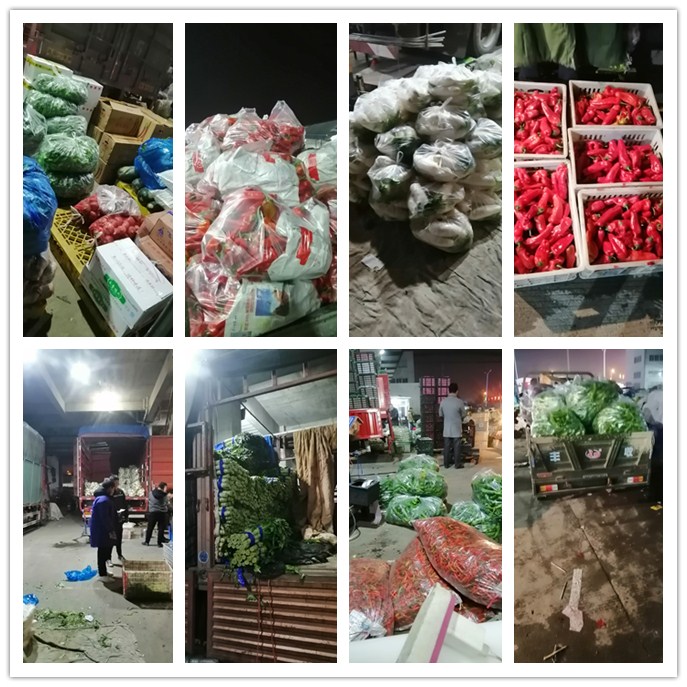 rb88随行版-rb88手机随行版登录入口