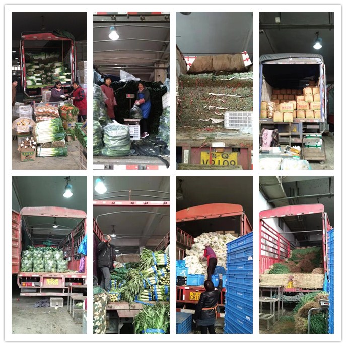 rb88随行版-rb88手机随行版登录入口