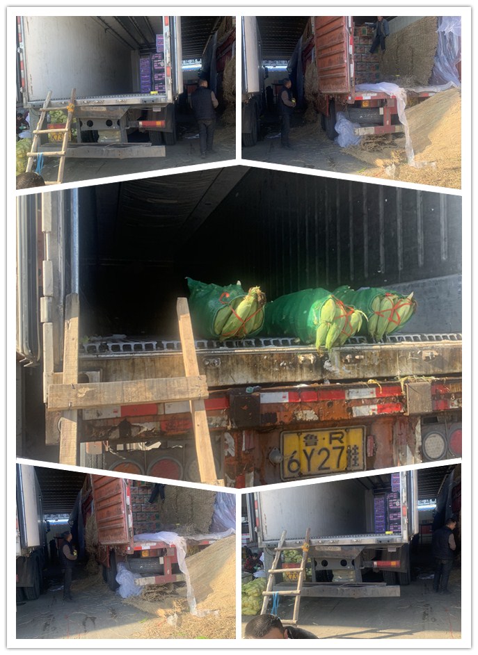 rb88随行版-rb88手机随行版登录入口