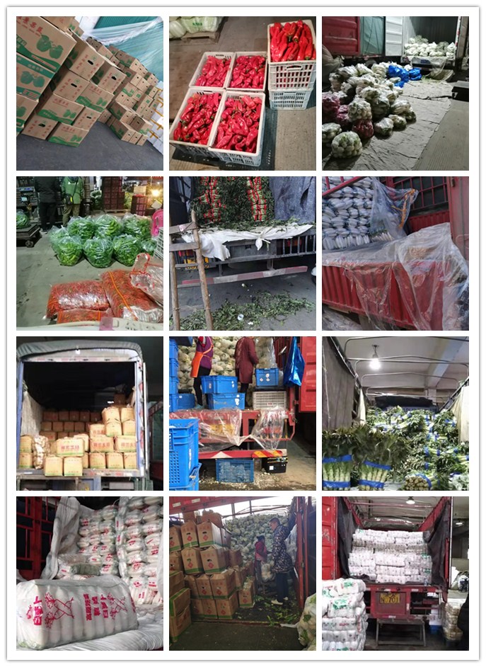 rb88随行版-rb88手机随行版登录入口