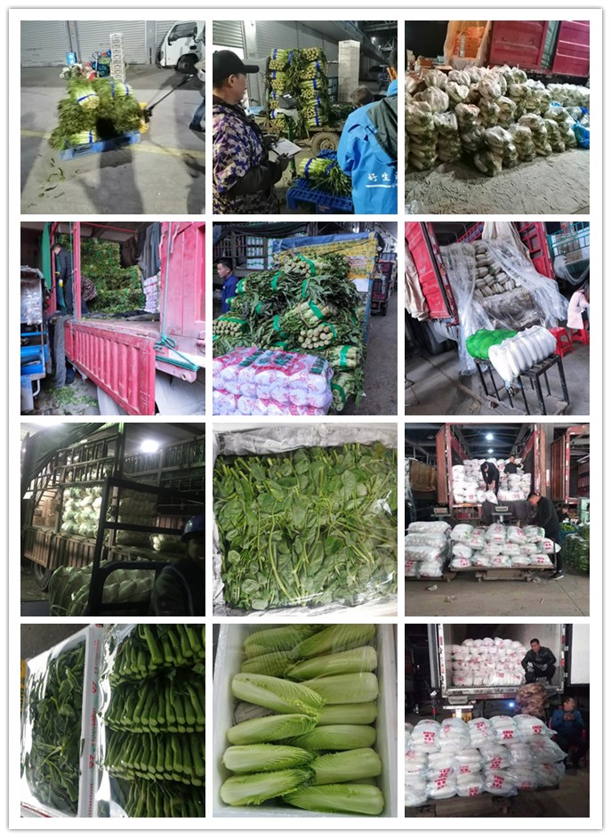 rb88随行版-rb88手机随行版登录入口