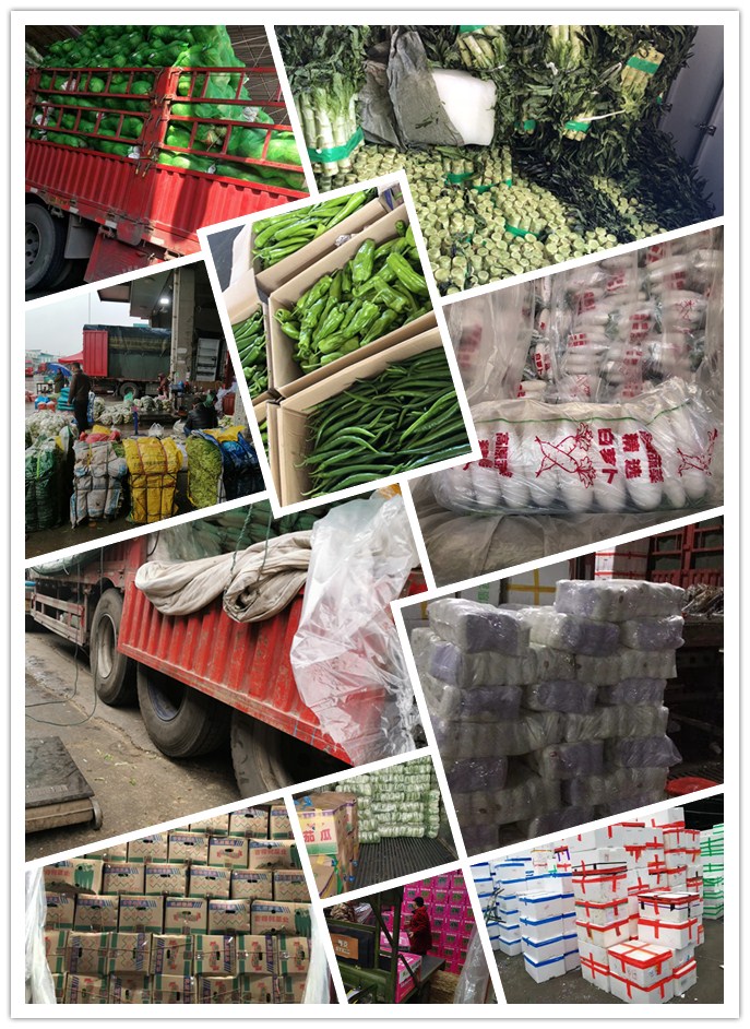 rb88随行版-rb88手机随行版登录入口