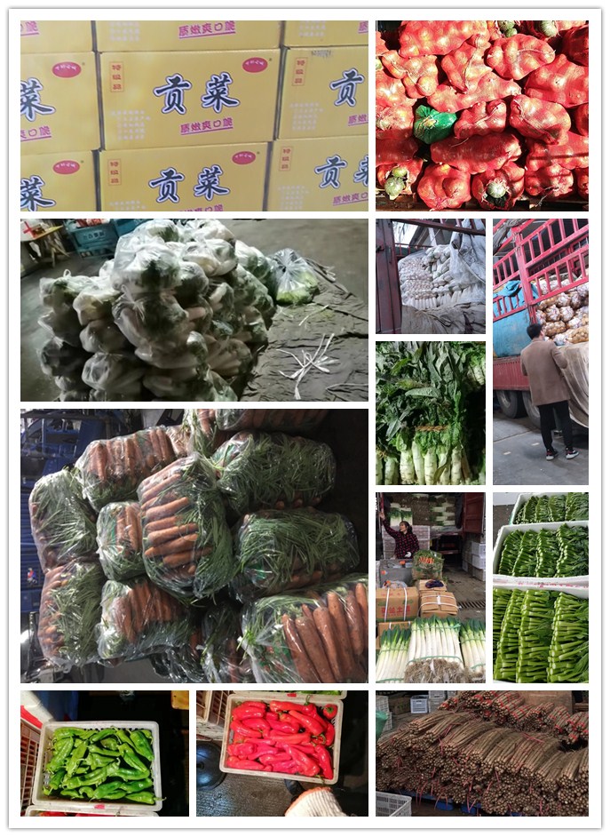 rb88随行版-rb88手机随行版登录入口