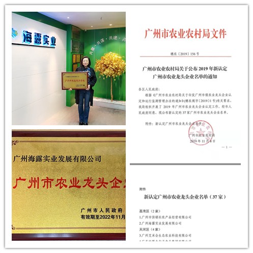 rb88随行版-rb88手机随行版登录入口