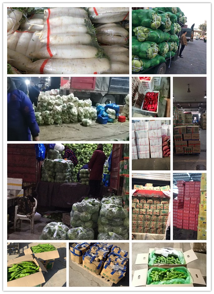 rb88随行版-rb88手机随行版登录入口