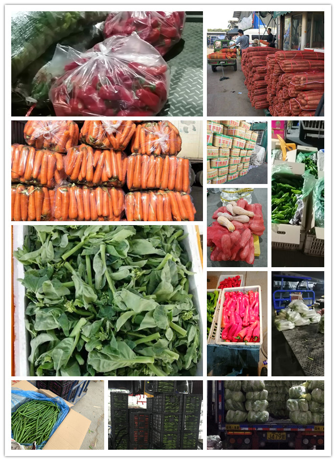 rb88随行版-rb88手机随行版登录入口