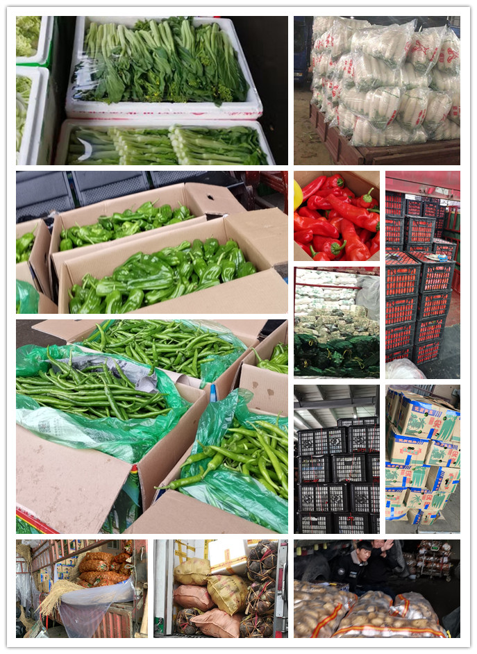 rb88随行版-rb88手机随行版登录入口