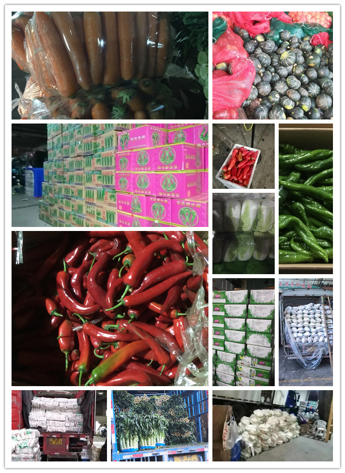 rb88随行版-rb88手机随行版登录入口