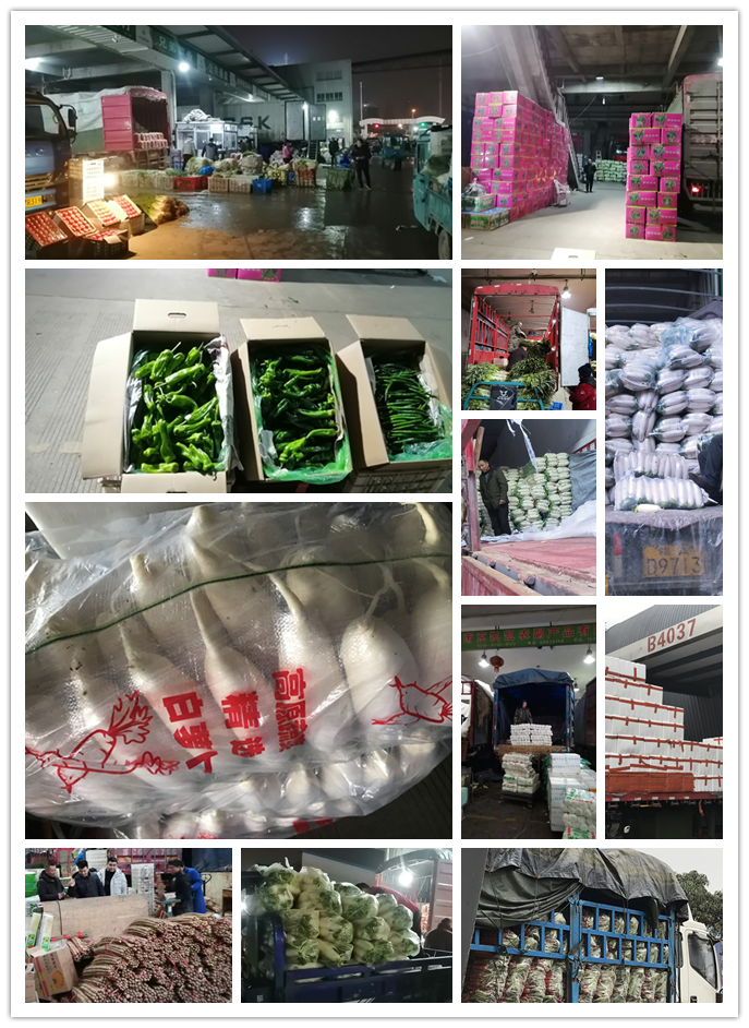 rb88随行版-rb88手机随行版登录入口