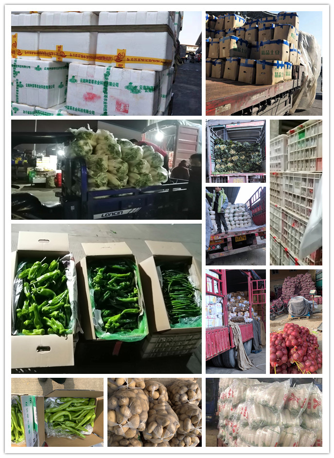 rb88随行版-rb88手机随行版登录入口