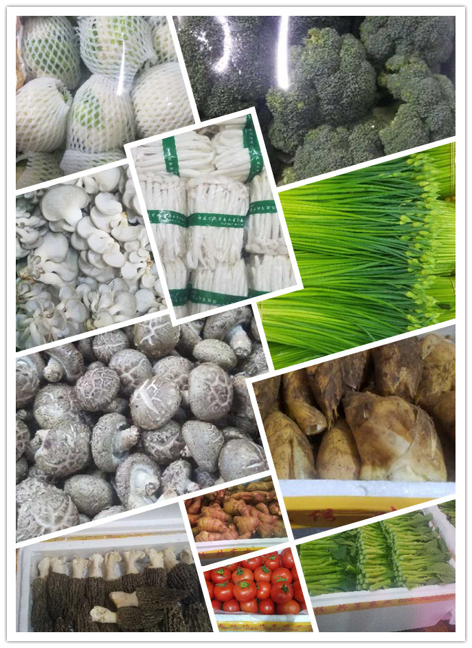 rb88随行版-rb88手机随行版登录入口