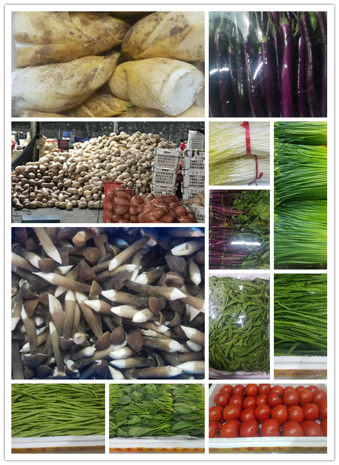 rb88随行版-rb88手机随行版登录入口