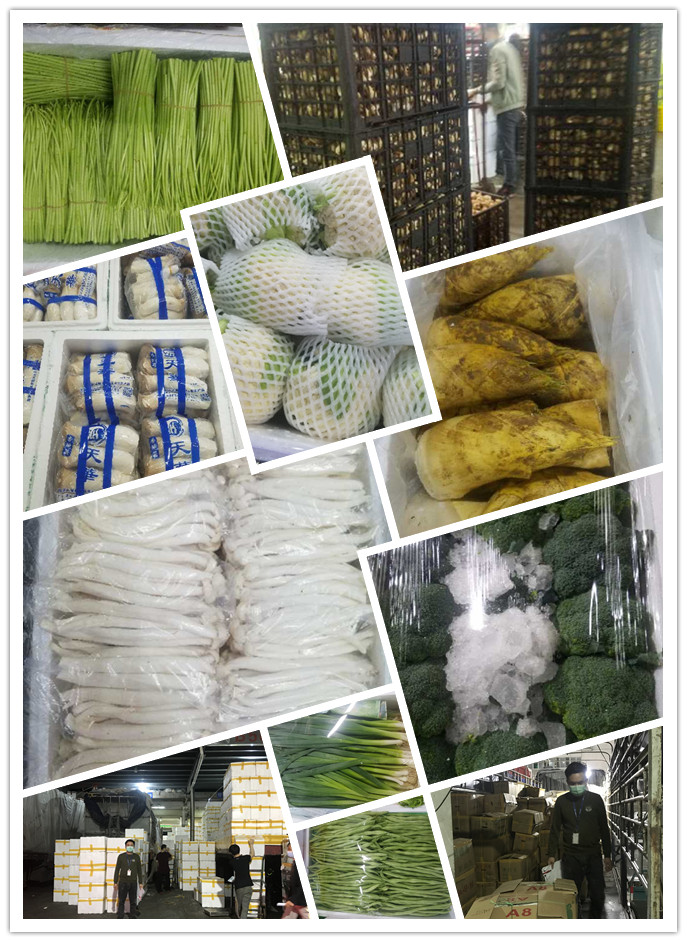 rb88随行版-rb88手机随行版登录入口