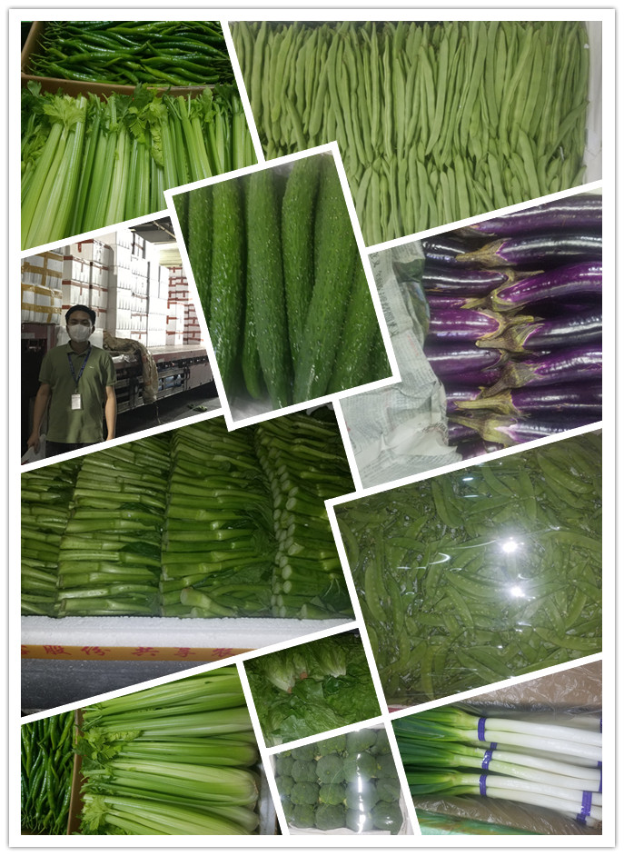 rb88随行版-rb88手机随行版登录入口