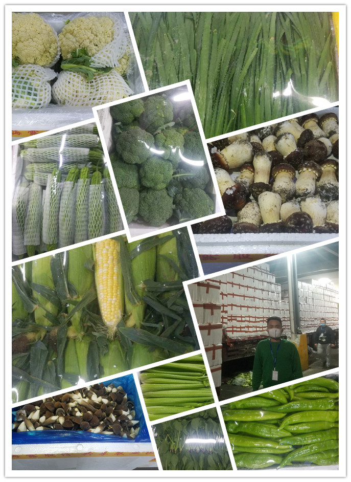 rb88随行版-rb88手机随行版登录入口