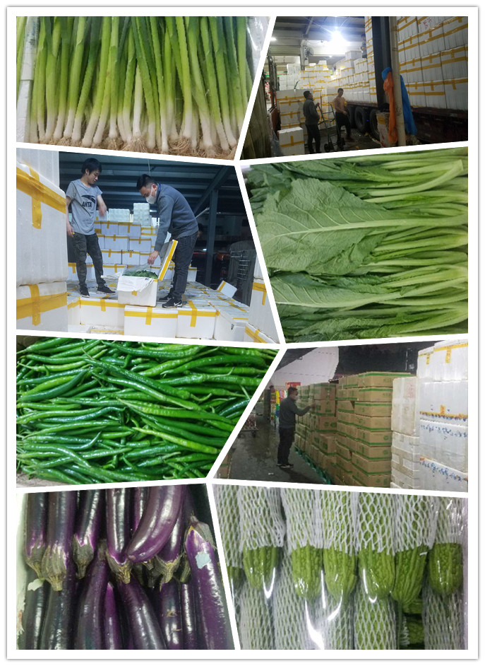 rb88随行版-rb88手机随行版登录入口