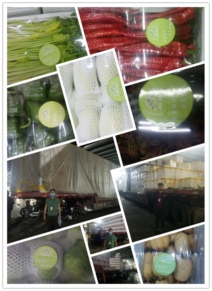 rb88随行版-rb88手机随行版登录入口