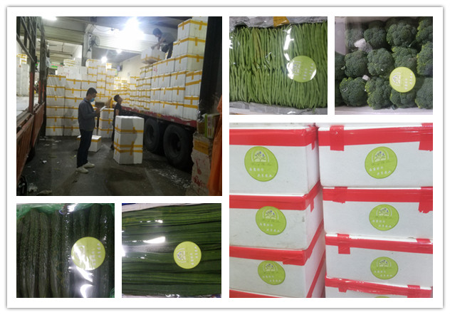 rb88随行版-rb88手机随行版登录入口