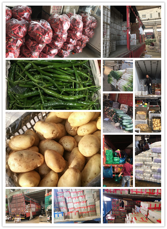 rb88随行版-rb88手机随行版登录入口