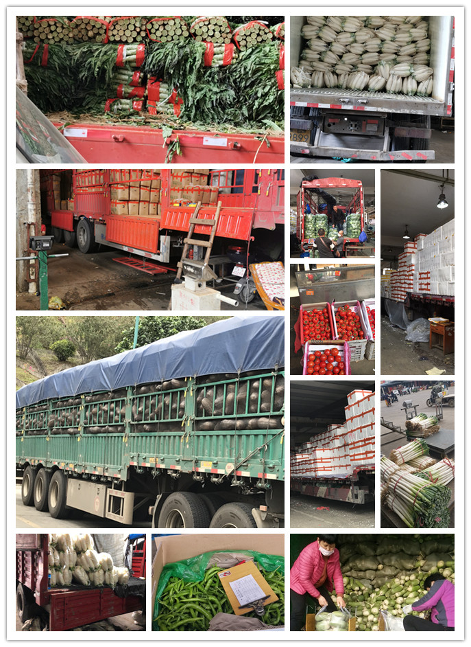 rb88随行版-rb88手机随行版登录入口