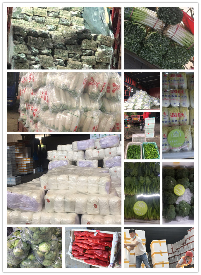 rb88随行版-rb88手机随行版登录入口