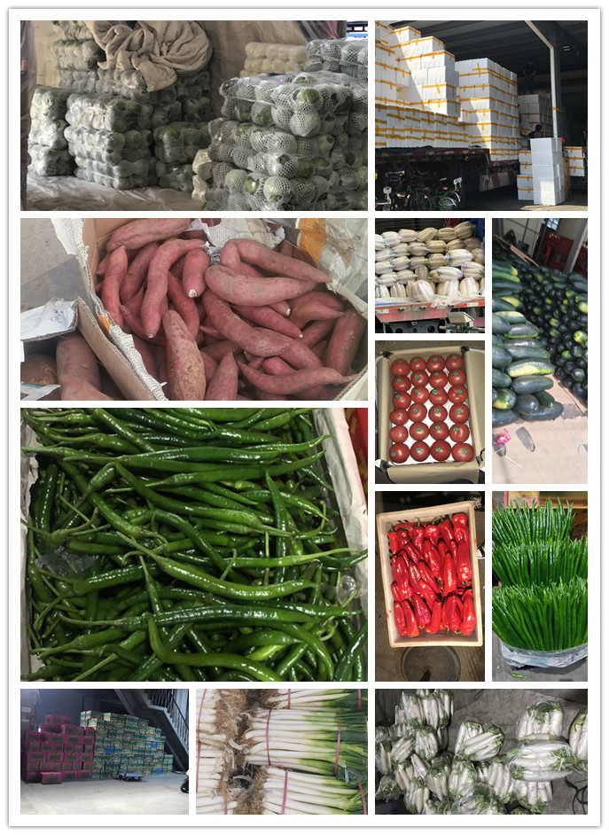 rb88随行版-rb88手机随行版登录入口