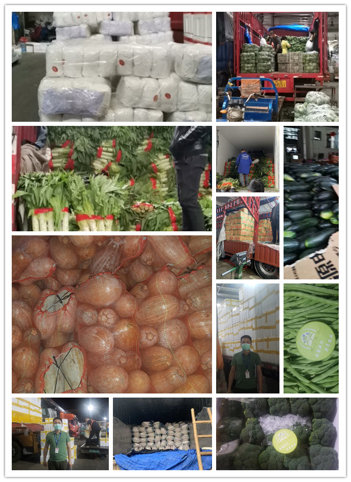 rb88随行版-rb88手机随行版登录入口