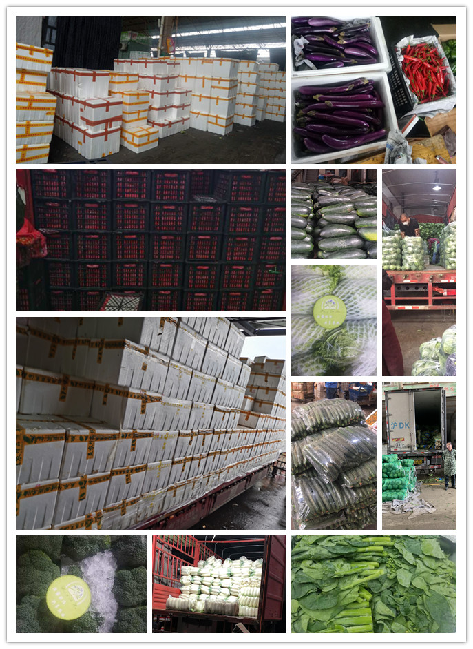 rb88随行版-rb88手机随行版登录入口